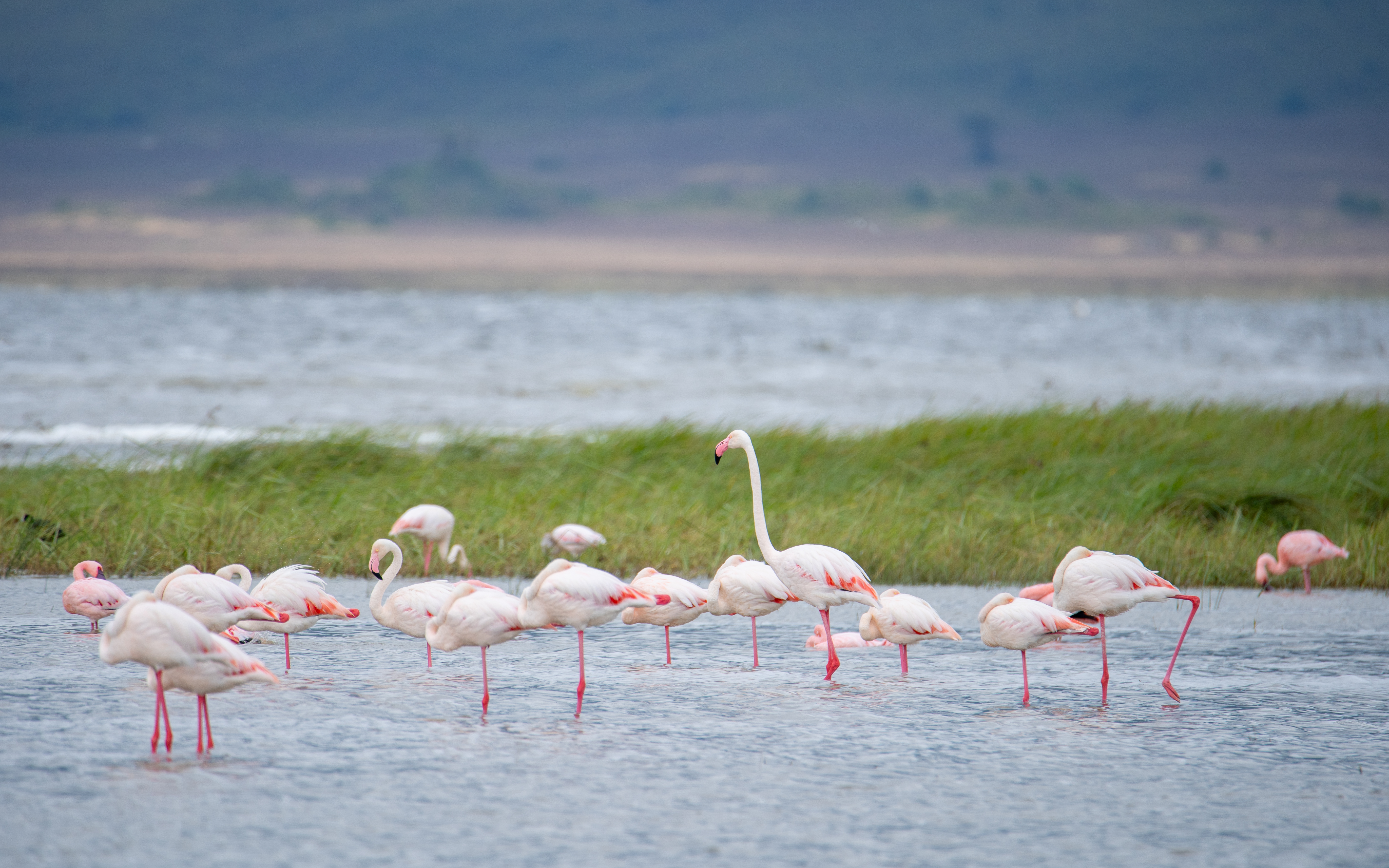 Zanzibar's Spice Shores